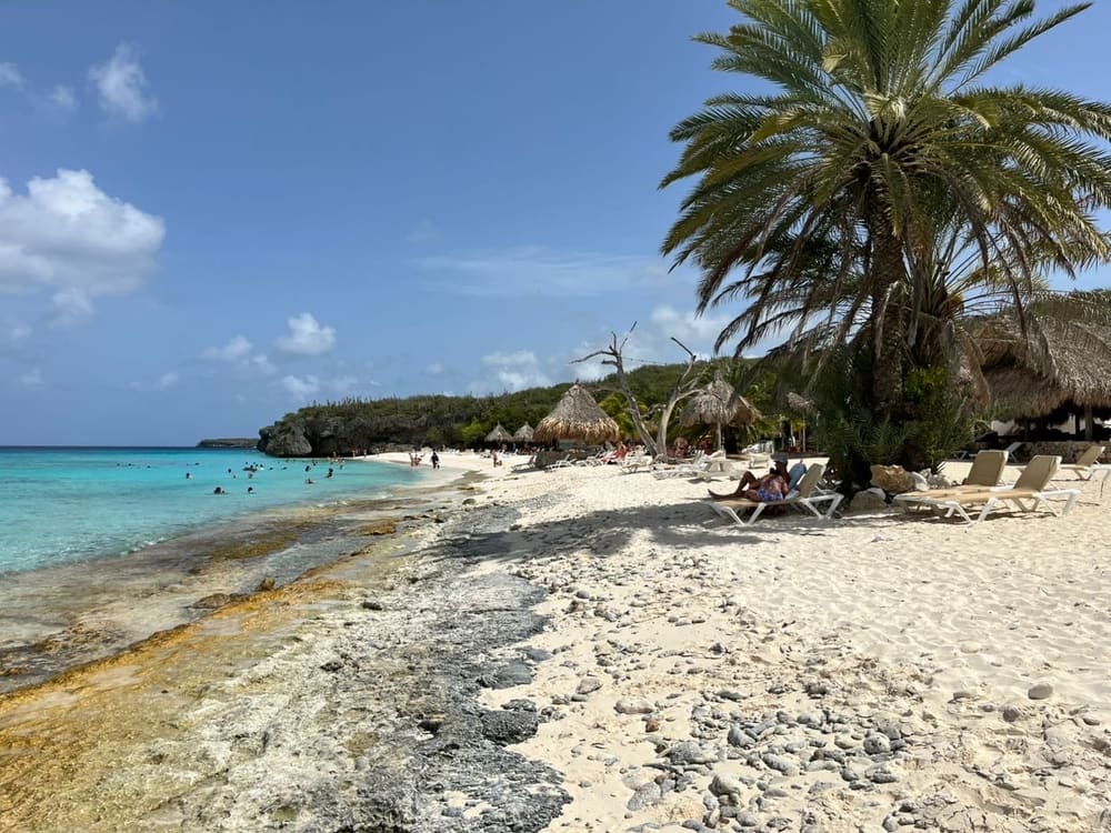 Palm-lined beach with turquoise water in Curaçao